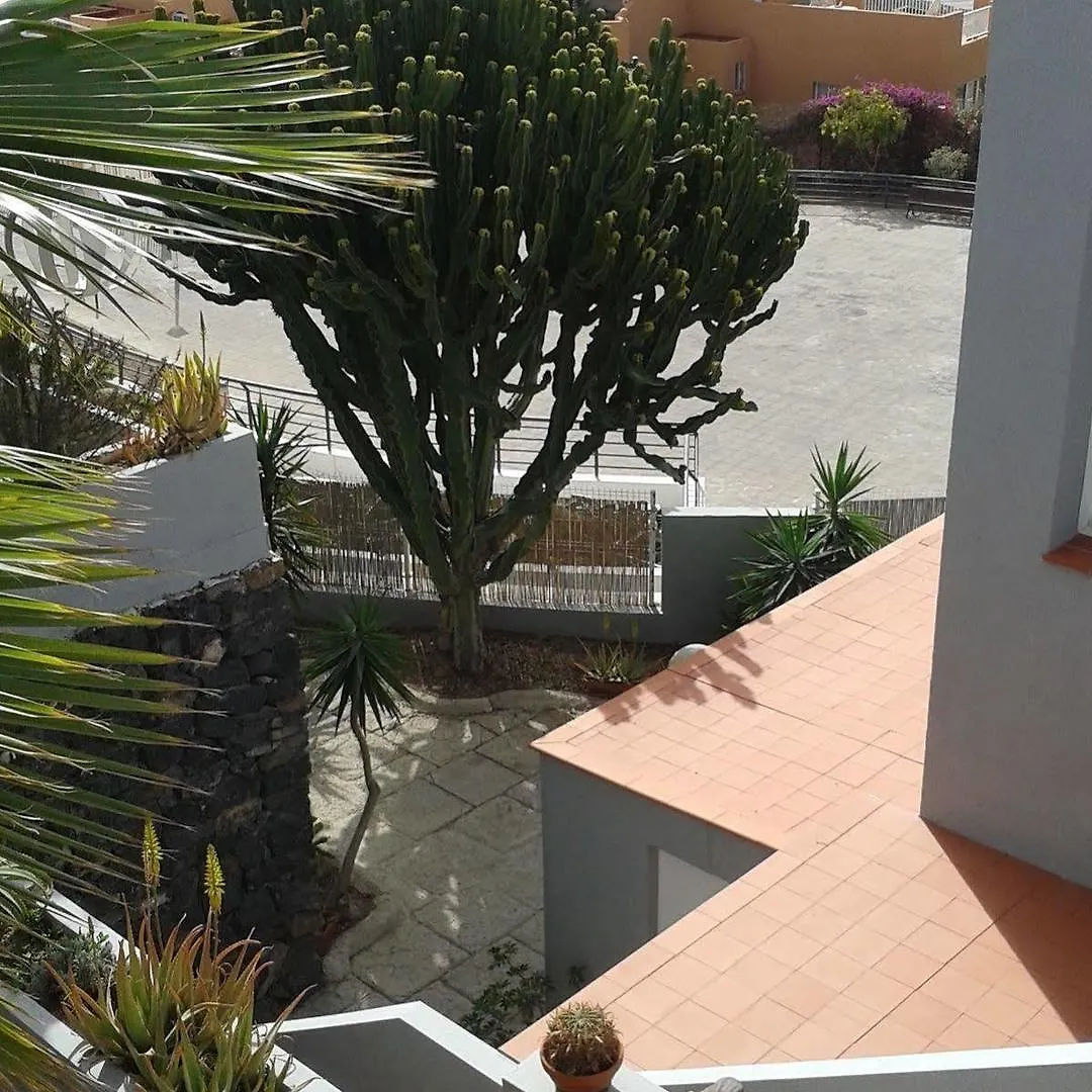 Apartment Apartamento Pardela Costa Adeje  Spain