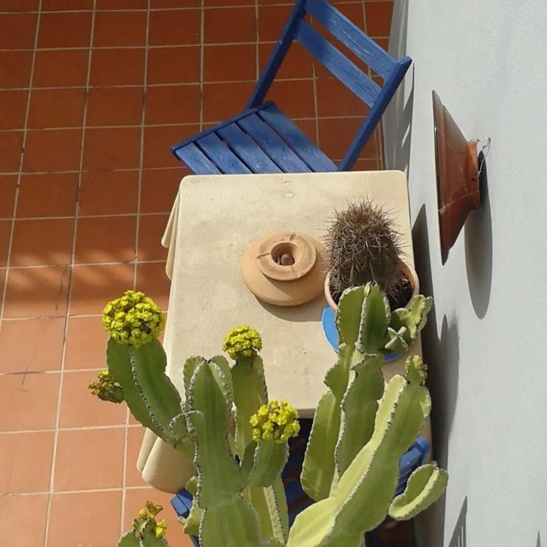 Apartamento Pardela Costa Adeje