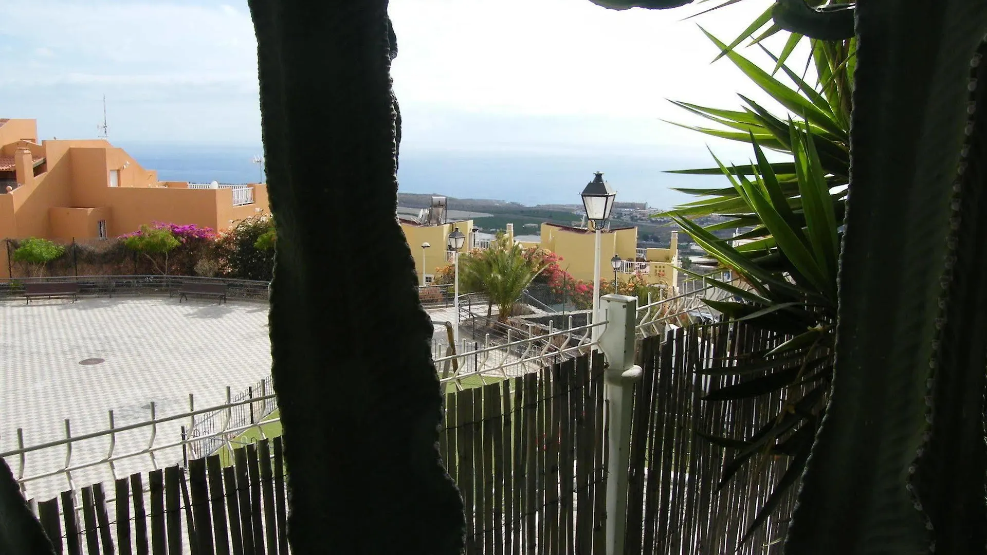 Apartamento Pardela Costa Adeje  Costa Adeje (Tenerife)